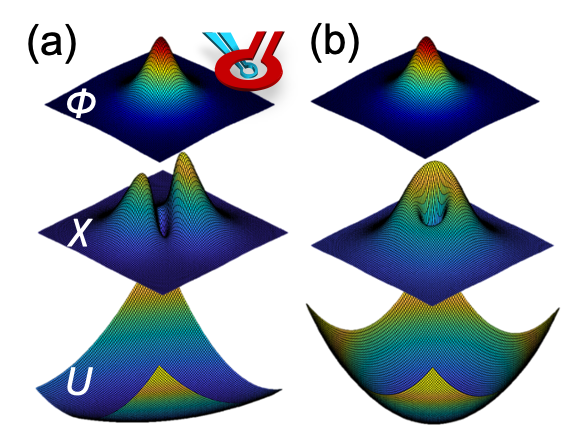 Scanning SQUID captures the magnetic flux $\phi$ over an isolated vortex and its magnetic dynamics $\chi$, estimating the symmetry of the pinning potential $U$.  Reprinted figure from [2]. Copyright 2021, by American Physical Society.