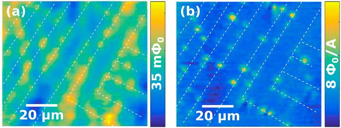 Vortices were pinned along the twin boundaries on FeSe(a). The local pinning potential is anisotropic along the twin boundaries(b). Reprinted figure from [1]. Copyright 2019, by American Physical Society.