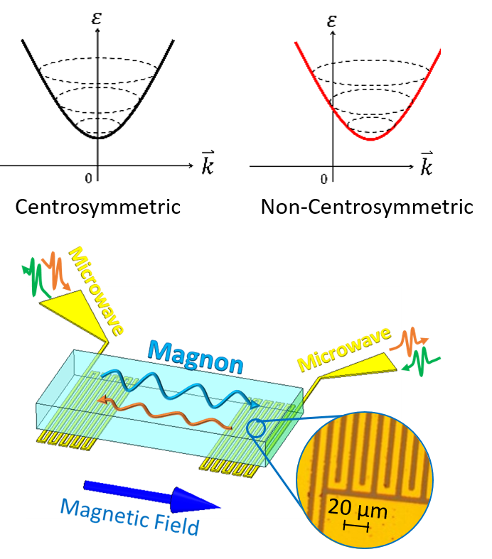 Magnon band is asymmetric in non-centrosymmetric ferromagnets. Non-reciprocal magnon propagation at large wave number is detected in a micro fabricated microwave circuit.