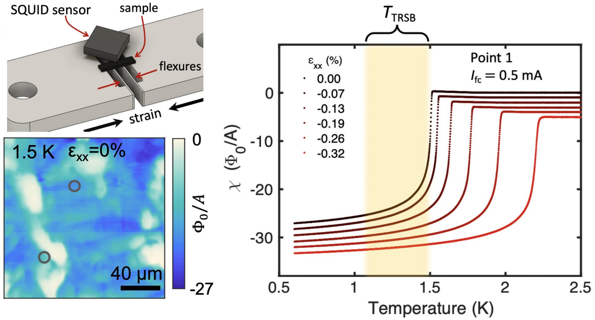Scanning SQUID susceptometry on Sr$_2$RuO$_4$ under uniaxial strain. (Reprinted figure from PRB 108, 144501 (2023). Copyright 2023, by the American Physical Society.)