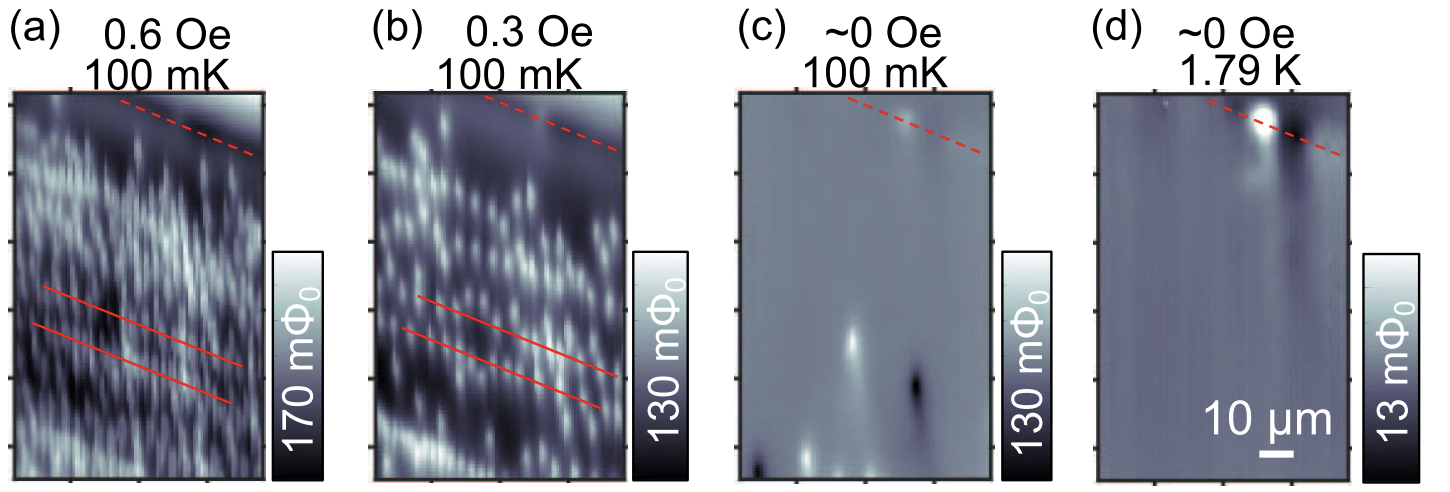 (a-c) Magnetic flux imaging on UTe$_2$ after field coolings. (d) No observable local magnetic sources above $T_c$. The red dashed lines at top right indicate the crystal edge. Reprinted figure from [2]. Copyright 2023, by American Physical Society.