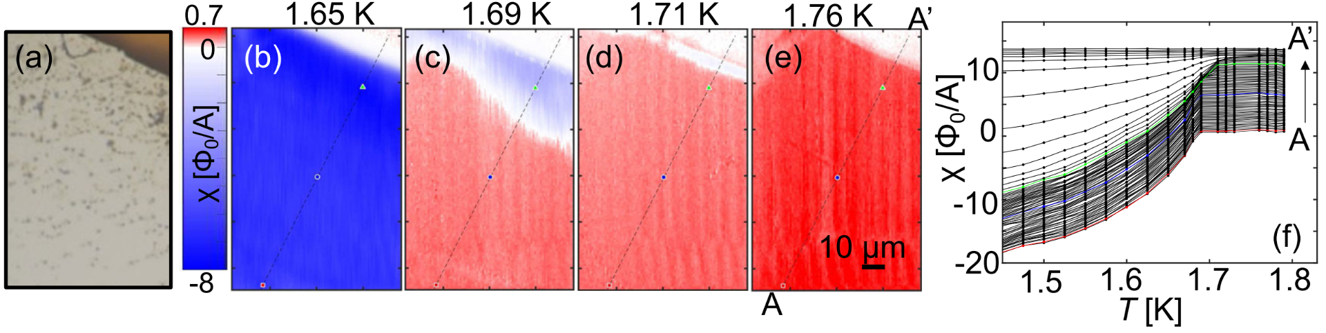 (a) Surface of UTe$_2$ crystal. (b-e) Susceptometry scan. (f)Temperature dependence of the susceptibility at the cross-section A-A'. Reprinted figure from [2]. Copyright 2023, by American Physical Society.