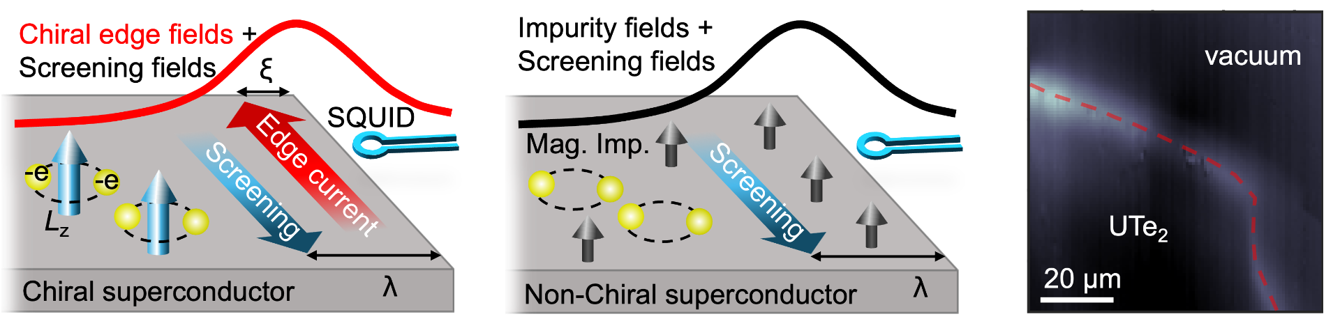 (Right) Scanning SQUID magnetometry of magnetic edge fields on UTe$_2$, interpreted as (Center) Meissner screening currents extrinsically induced by hidden magnetic fields in a crystal, instead of (Left) Spontaneous chiral edge currents.